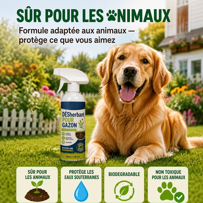 🏆🔥 50 % DE RÉDUCTION🔥 🌿 Désherbant – Efficace contre les mauvaises herbes & leur repousse | Jardin, allées & cour ⚡