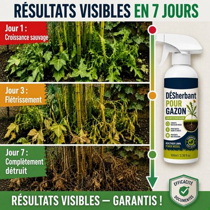 🏆🔥 50 % DE RÉDUCTION🔥 🌿 Désherbant – Efficace contre les mauvaises herbes & leur repousse | Jardin, allées & cour ⚡