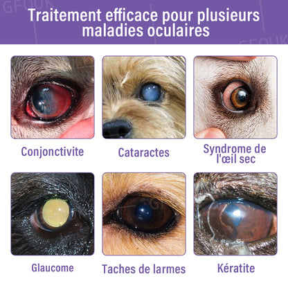 👩‍⚕️ GFOUK® NanoSoin Gouttes Oculaires pour Animaux ☑️ Approuvées par l’ANMV | Soulagent la conjonctivite, la sécheresse oculaire, la cataracte et la kératite 🐶😸