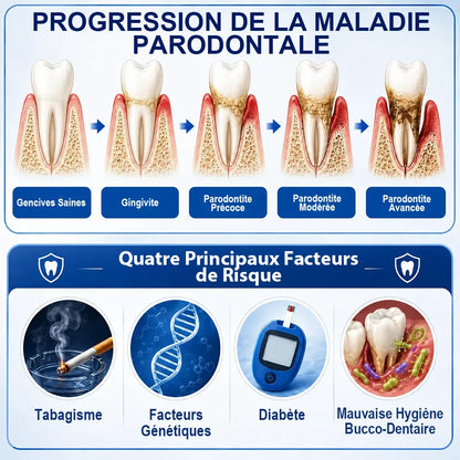 Pheromex®  GumRevive – Gel de soin parodontal🌸