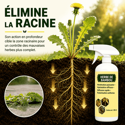 Désherbant naturel à action rapide avec une protection longue durée -up