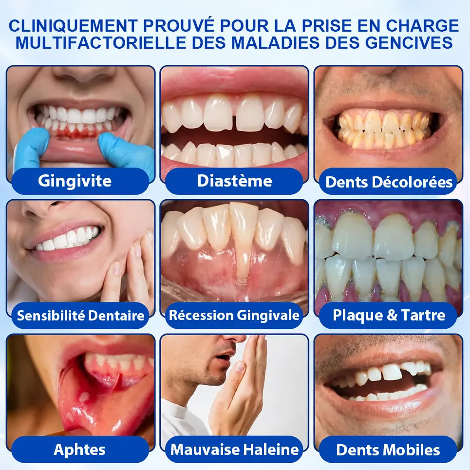 Pheromex®  GumRevive – Gel de soin parodontal🌸