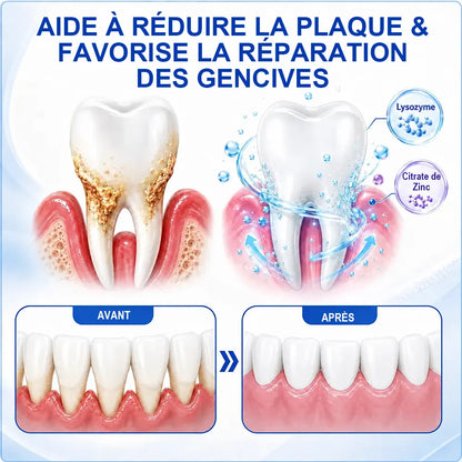 Pheromex®  GumRevive – Gel de soin parodontal🌸