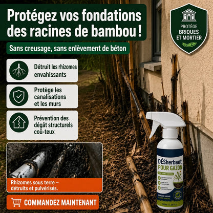 🏆🔥 50 % DE RÉDUCTION🔥 🌿 Désherbant – Efficace contre les mauvaises herbes & leur repousse | Jardin, allées & cour ⚡