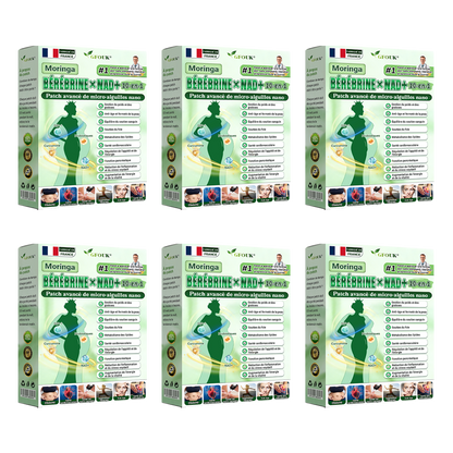 Boutique officielle 🇫🇷 | GFOUK® Moringa · Berberine × NAD+ 10-en-1 Patch Avancé Nano Microneedle🍀